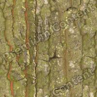 Seamless Bark 0023